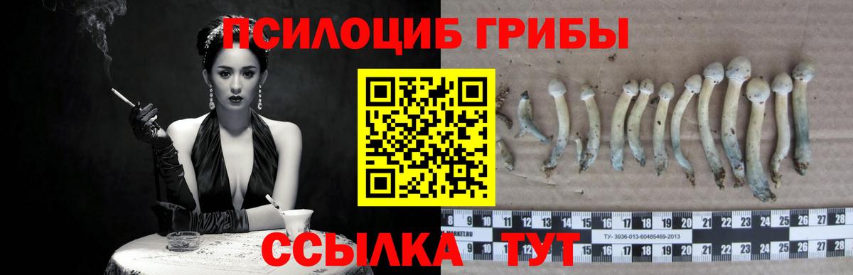 Псилоцибиновые грибы Magic Shrooms  Вход с VPN  Азнакаево 